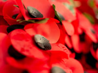 Powys residents urged to wear poppies with pride