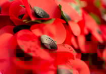 Powys residents urged to wear poppies with pride