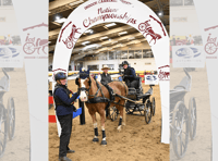 Brecon carriage driver crowned UK champion
