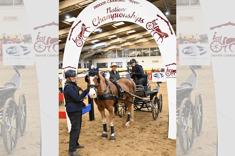 Brecon’s Emily Ham celebrates winning at the Indoor Carriage Driving National Championships with her chestnut Welsh Section D cob, Alfie