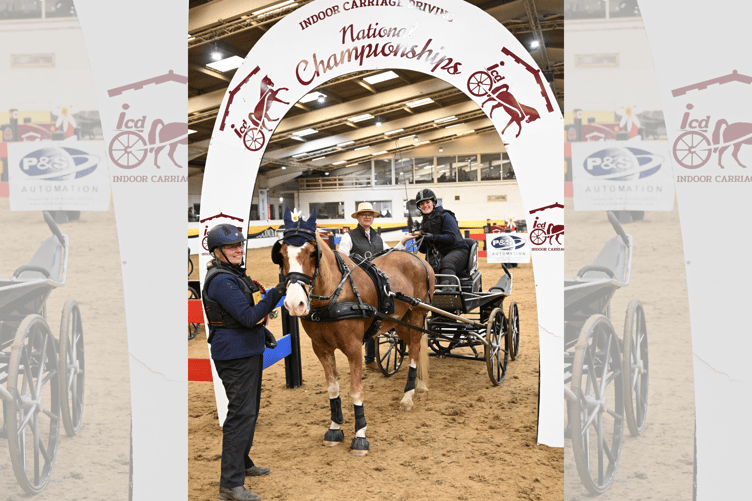 Brecon’s Emily Ham celebrates winning at the Indoor Carriage Driving National Championships with her chestnut Welsh Section D cob, Alfie