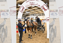 Brecon carriage driver crowned UK champion