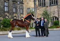 Royal Welsh Show 2025 officially launched
