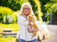 Fizz the famous Llandrindod cat nominated for national award