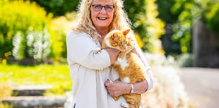 Fizz the famous Llandrindod cat nominated for national award