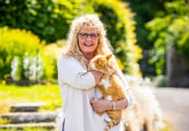 Fizz the famous Llandrindod cat nominated for national award