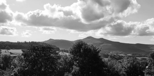 Readers' black and white photography from the area