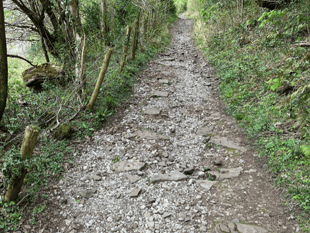 Bannau Brycheiniog National park on the look out for volunteers