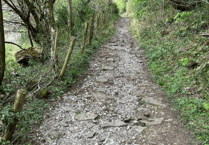 National park on the look out for volunteers to map historic tramroad routes