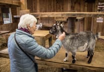 Farm park hosts calm sessions for visitors