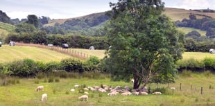 Groups warn Welsh Government over loss of small abattoirs