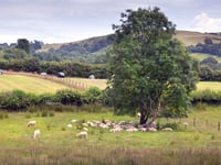 Powys Cabinet set to agree consultation on new farm estate policy