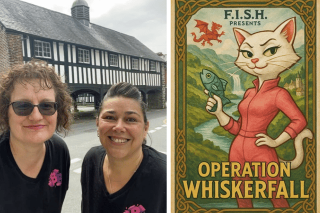 ‘Paws-itively purrfect’ new outdoor escape game launched in Mid Wales