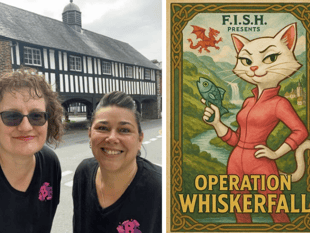 ‘Paws-itively purrfect’ new outdoor escape game launched in Mid Wales
