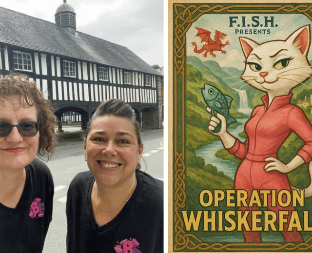 ‘Paws-itively purrfect’ new outdoor escape game launched in Mid Wales