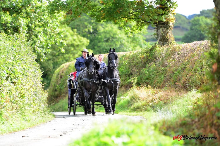 Fraithwen Friesians