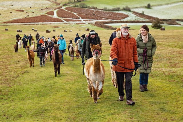Unique experiences in Mid Wales this summer