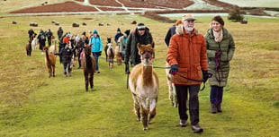Unique experiences in Mid Wales this summer