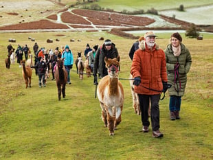 Unique experiences in Mid Wales this summer