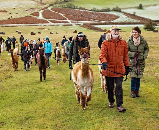 Unique experiences in Mid Wales this summer