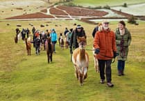 What to do in Mid Wales? Try these unique experiences