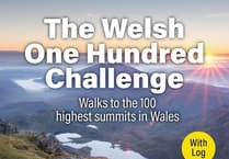 Tindle Reads: The Welsh One Hundred Challenge
