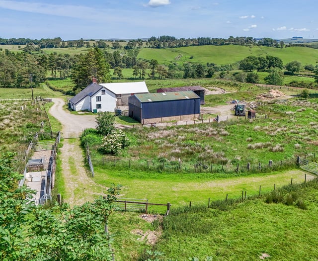 Secluded Mid Wales farm owned by family for a century up for sale