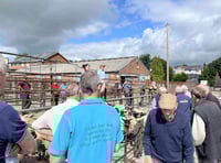 Good demand and solid averages at Knighton