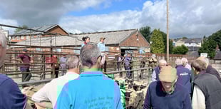 Good demand and solid averages at Knighton