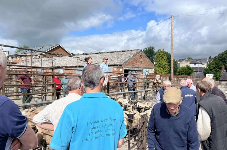 Buyers and sellers in action at Knighton Market