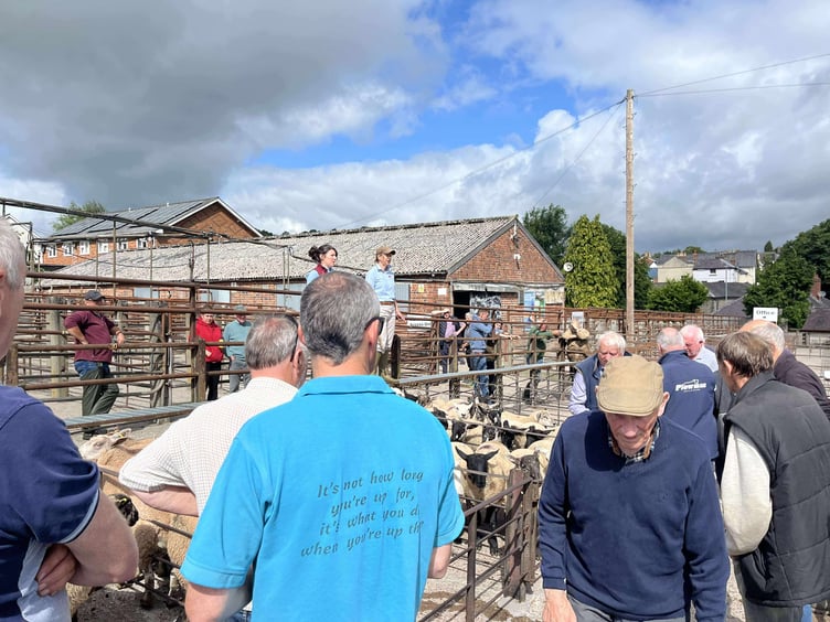 Buyers and sellers in action at Knighton Market