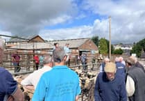 Good demand and solid averages at Knighton