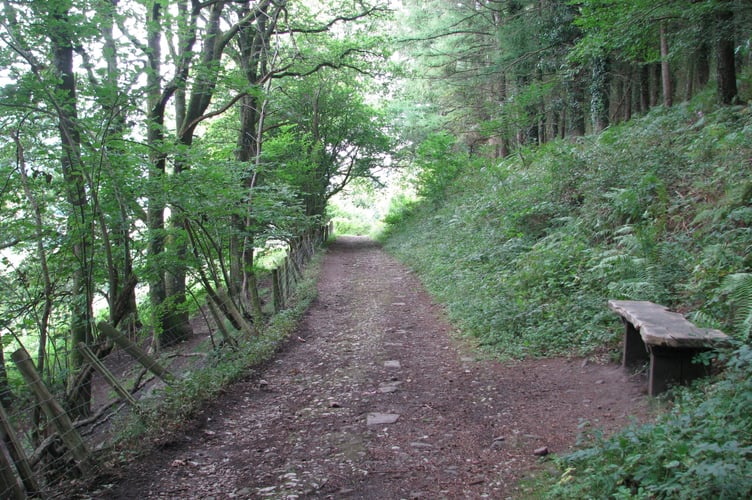 Remains of the Brinore Tramroad