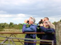 Deputy First Minister visits curlew project in Bannau Brycheiniog
