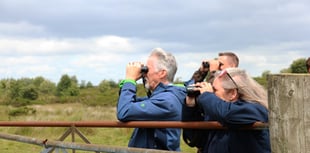 Deputy First Minister visits curlew project in Bannau Brycheiniog
