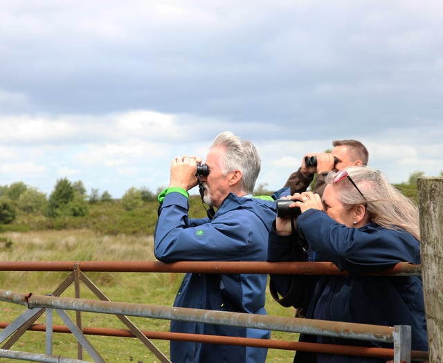 Deputy First Minister visits curlew project in Bannau Brycheiniog