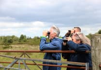 Deputy First Minister visits curlew project in Bannau Brycheiniog