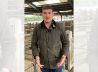 Farmers 'still in the dark' over bluetongue emergency rules, says MS