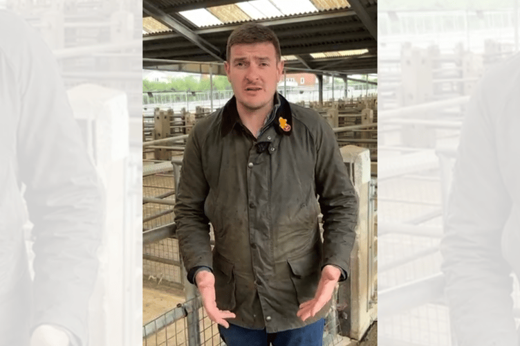 James Evans MS has called on the Welsh Government to provide urgent clarity over new bluetongue restrictions affecting livestock movement across the border