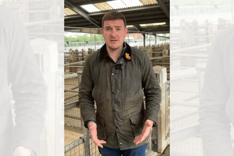 James Evans MS has called on the Welsh Government to provide urgent clarity over new bluetongue restrictions affecting livestock movement across the border