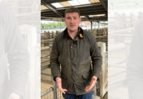 Farmers 'still in the dark' over bluetongue emergency rules, says MS