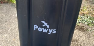 Powys has 'no current plans' for monthly black bin collections