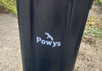 Powys has 'no current plans' for monthly black bin collections
