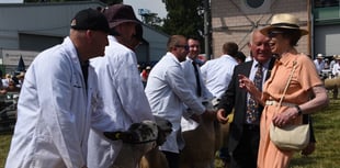 Princess Royal to visit Royal Welsh Show for seventh time