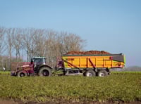 Councillors vote to pause sale of county farms in Powys