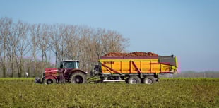 Councillors vote to pause sale of county farms in Powys