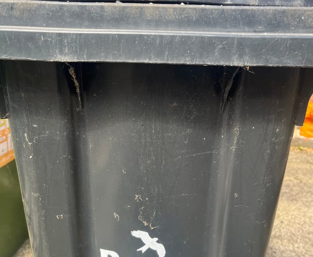 Powys promises consultation before any future bin collection changes