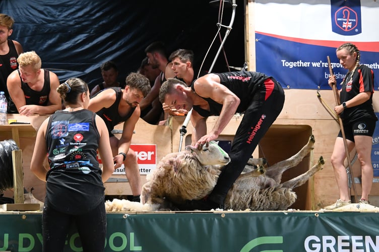 Gethin Lewis - British 8 Hour Shearing Record 12th July 2025