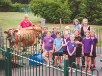 Ginger the cow visits Ysgol y Mynydd Du! 