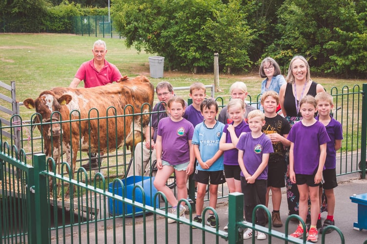 Ysgol y Mynydd Du - Ginger the cow